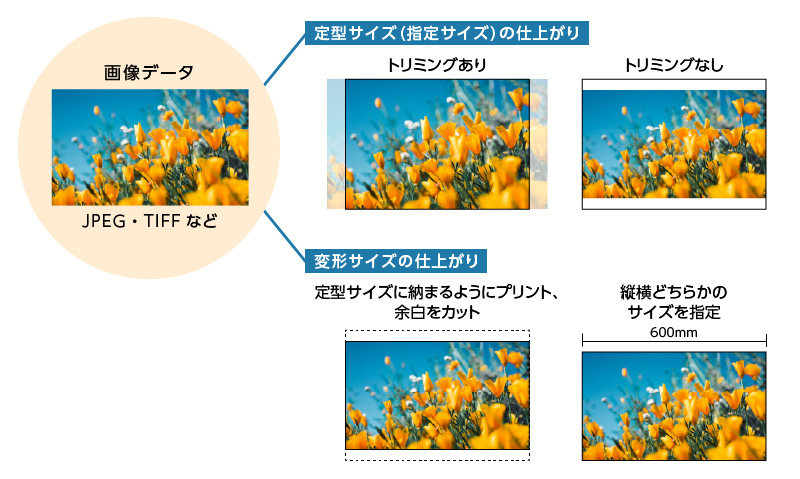 画像データをプリントする際には、トリミングの有無や基準を指定してください。