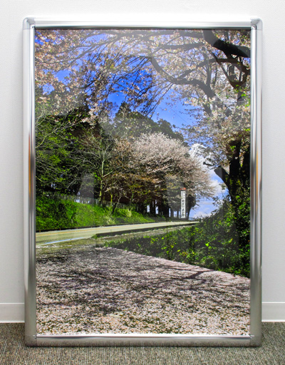 写真作品：曲がった山路と桜と空のコントラストが美しい写真。