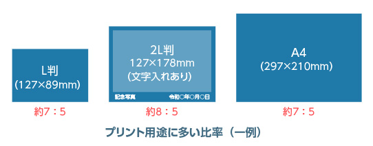 プリント用途に多い比率